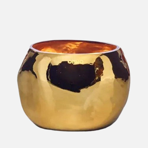 كيب جولد زنجبار (م)