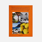 كتاب كابري دولتشي فيتا