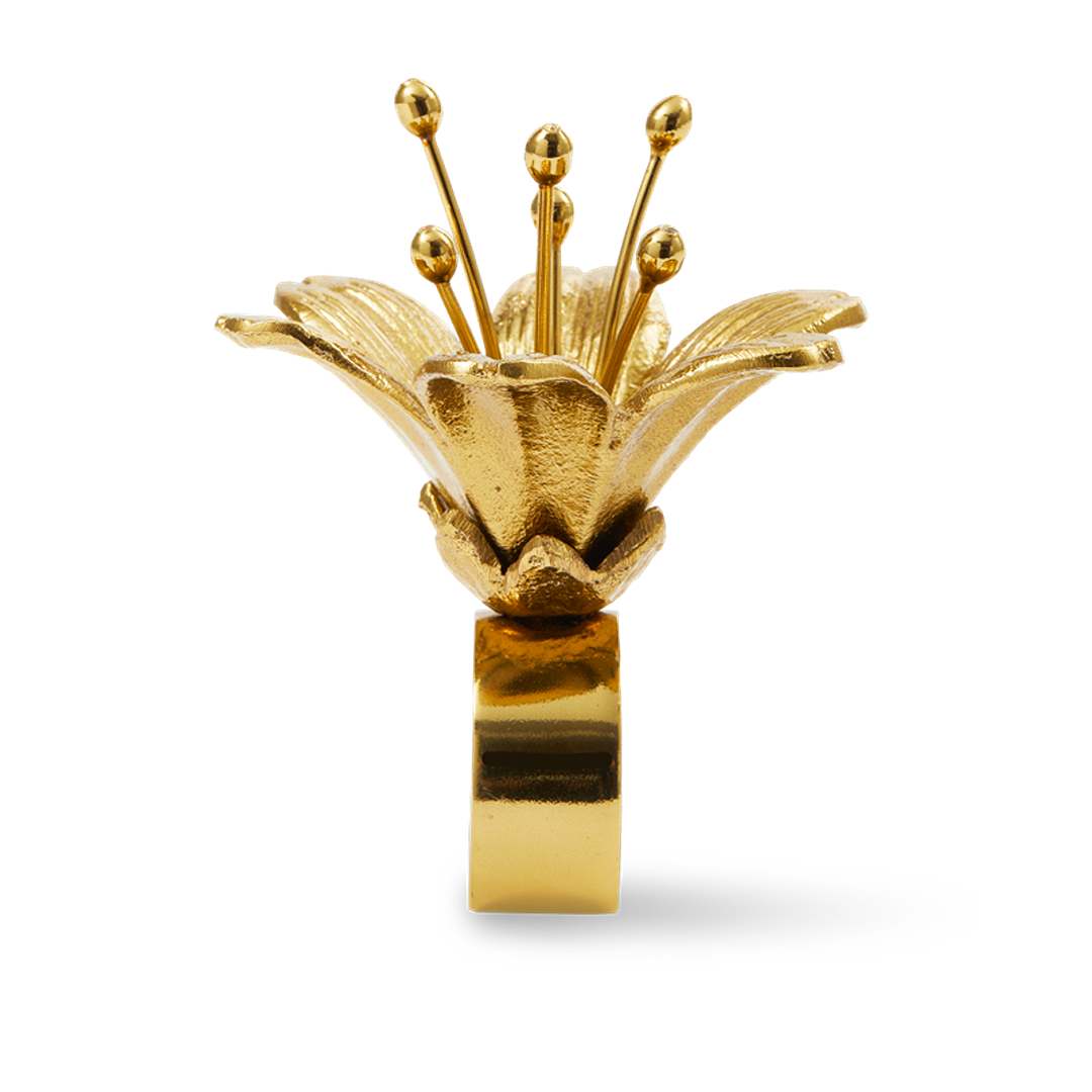 حامل مناديل ليلي