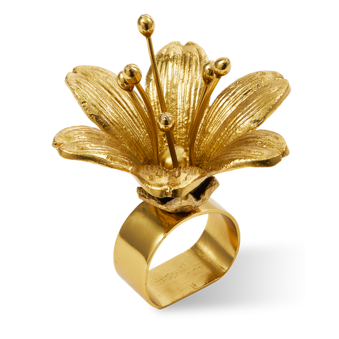 حامل مناديل ليلي