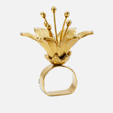 حامل مناديل ليلي