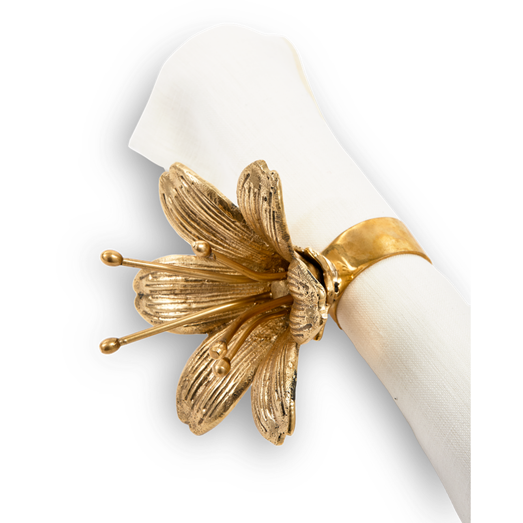 حامل مناديل ليلي