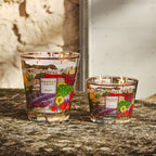 Scented Candle Provence (5.2 kg)