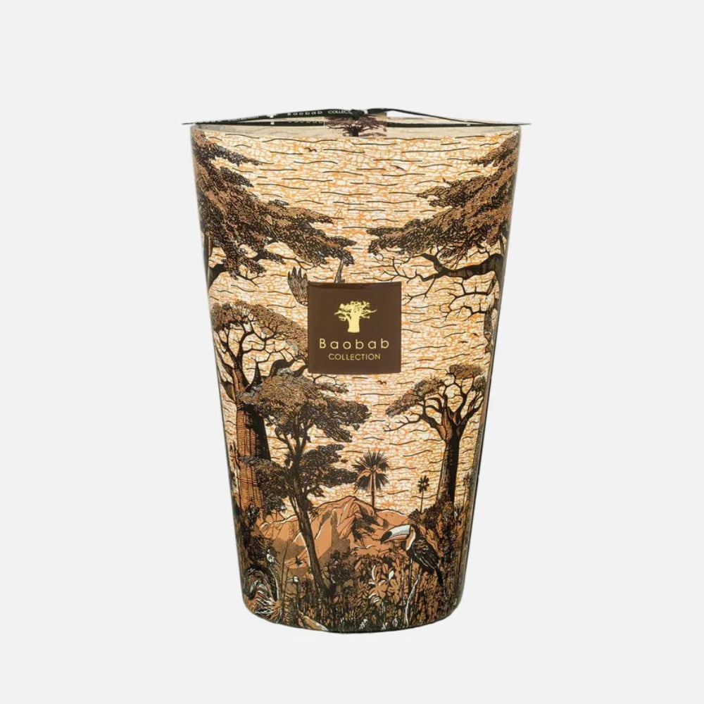 Baobab Sacred Trees Mankono Scented Candle – Max 35