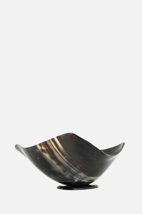 Bowl Salad Horn Big