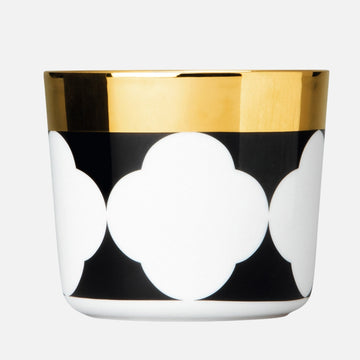 زهور كأس الشمبانيا