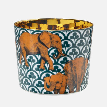 كأس الشمبانيا الفيلة