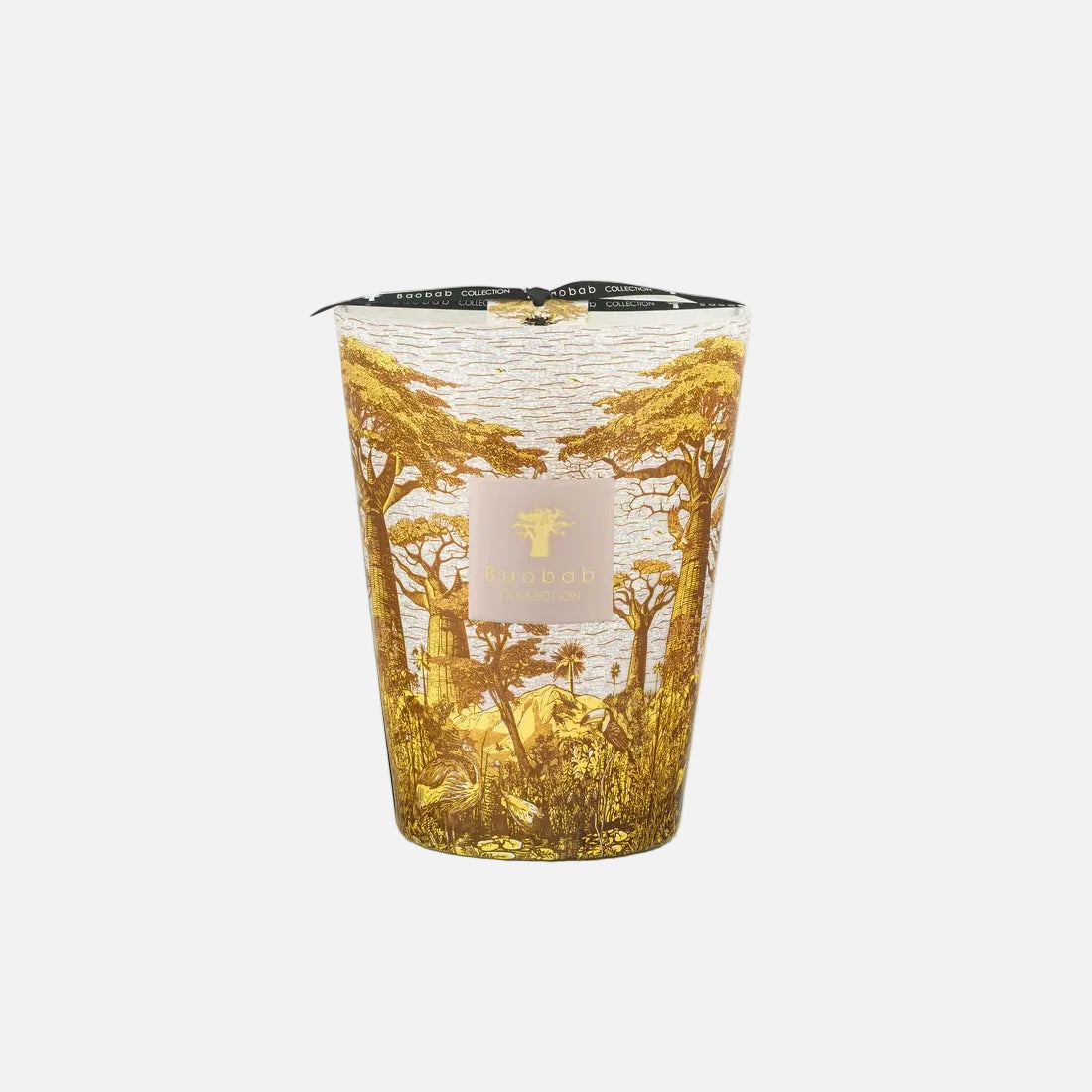 Baobab Sacred Trees Bounkani Scented Candle – Max 24