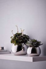 Bella Vase/ Flower Pot, 15cm