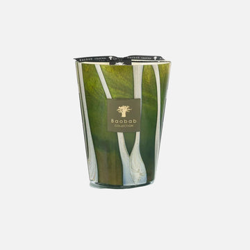 Baobab Woods Sherwood Scented Candle – Max 24