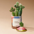 شمعة أريزونا المعطرة من ميزون لا بوجي (350 جرامًا)