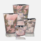 Manon 4-Wick Scented Candle, 1.1kg