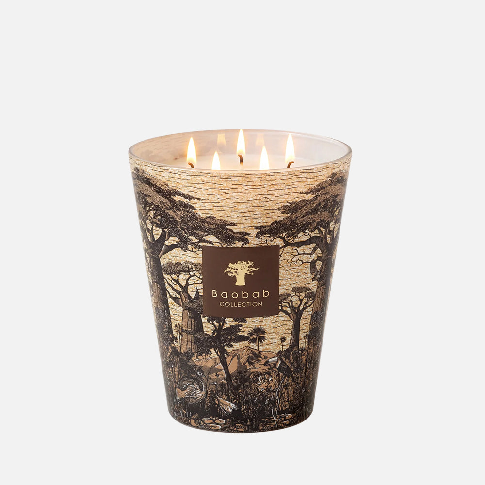 Baobab Collection Sacred Trees Mankono 5-wick scented candle in mouth-blown glass, 3kg, front view