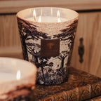 Baobab Collection Sacred Trees Mankono 5-wick scented candle in mouth-blown glass, 3kg, styled in a room setting