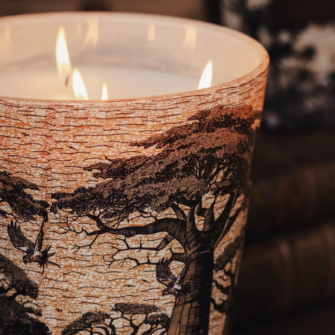 Baobab Collection Sacred Trees Mankono 7-wick scented candle in mouth-blown glass, 6.5kg, styled in a room setting (3)
