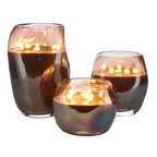 كيب شامبانيا سيج (S)