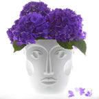 وجوه الشمبانيا المبردة، بيضاء