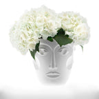 وجوه الشمبانيا المبردة، بيضاء