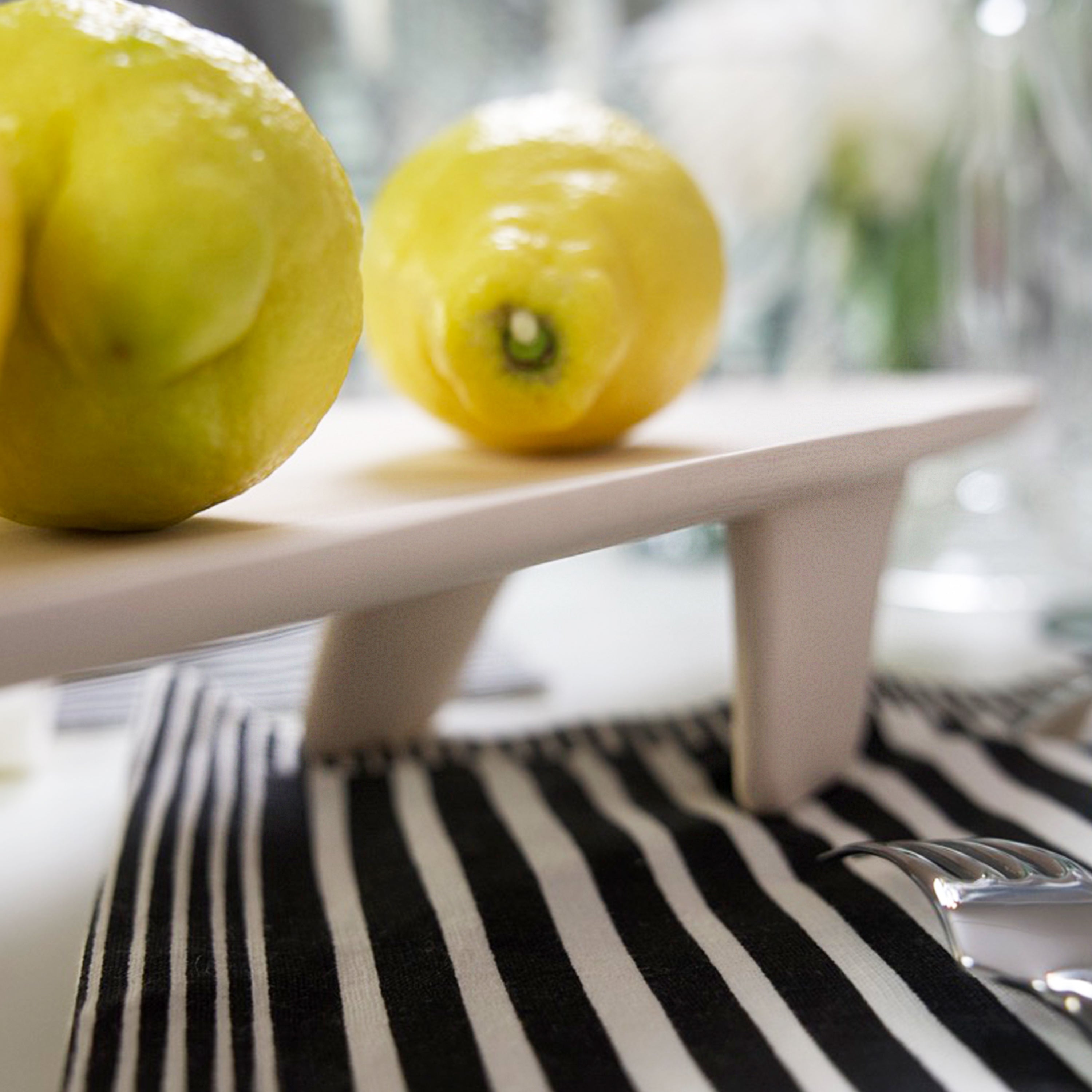 Shark Dish