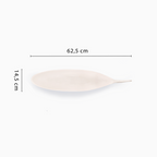 Shark Dish