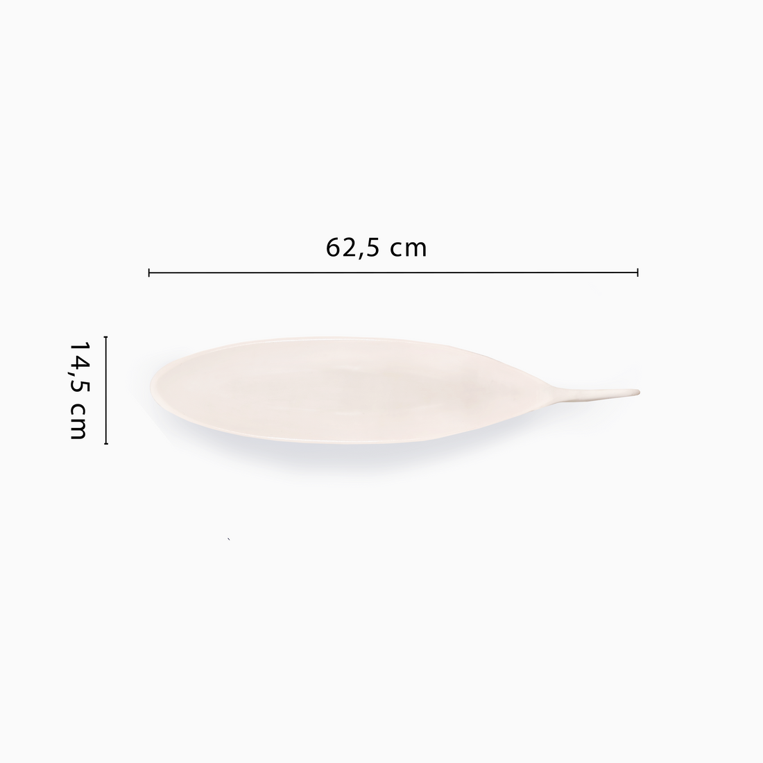 Shark Dish